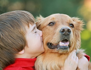Правила поведения для ребенка при встрече с бездомным псом